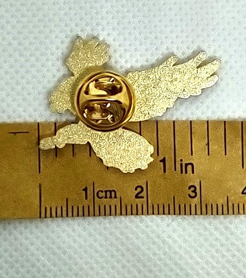 White and Black Raven Pin