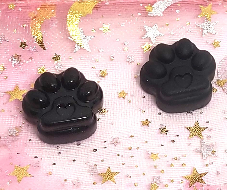 Paw Print with Heart Resin Magnet Set Shiny & Matte Black