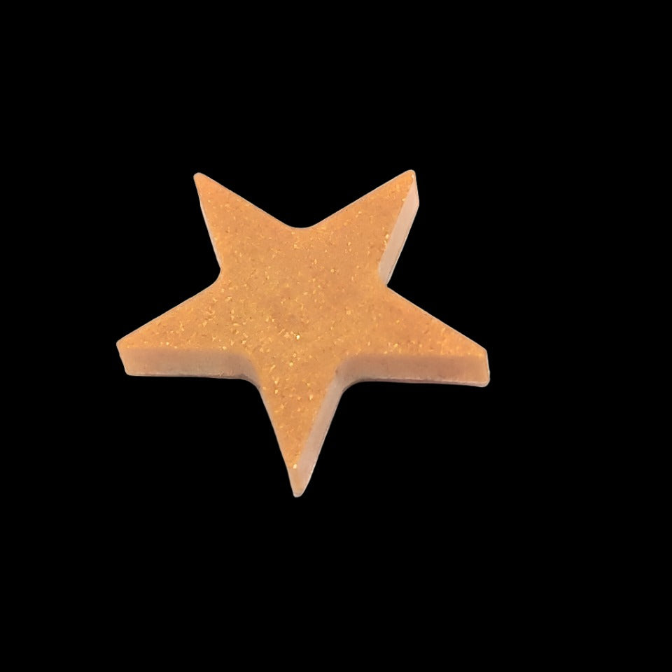 Star Resin Magnet