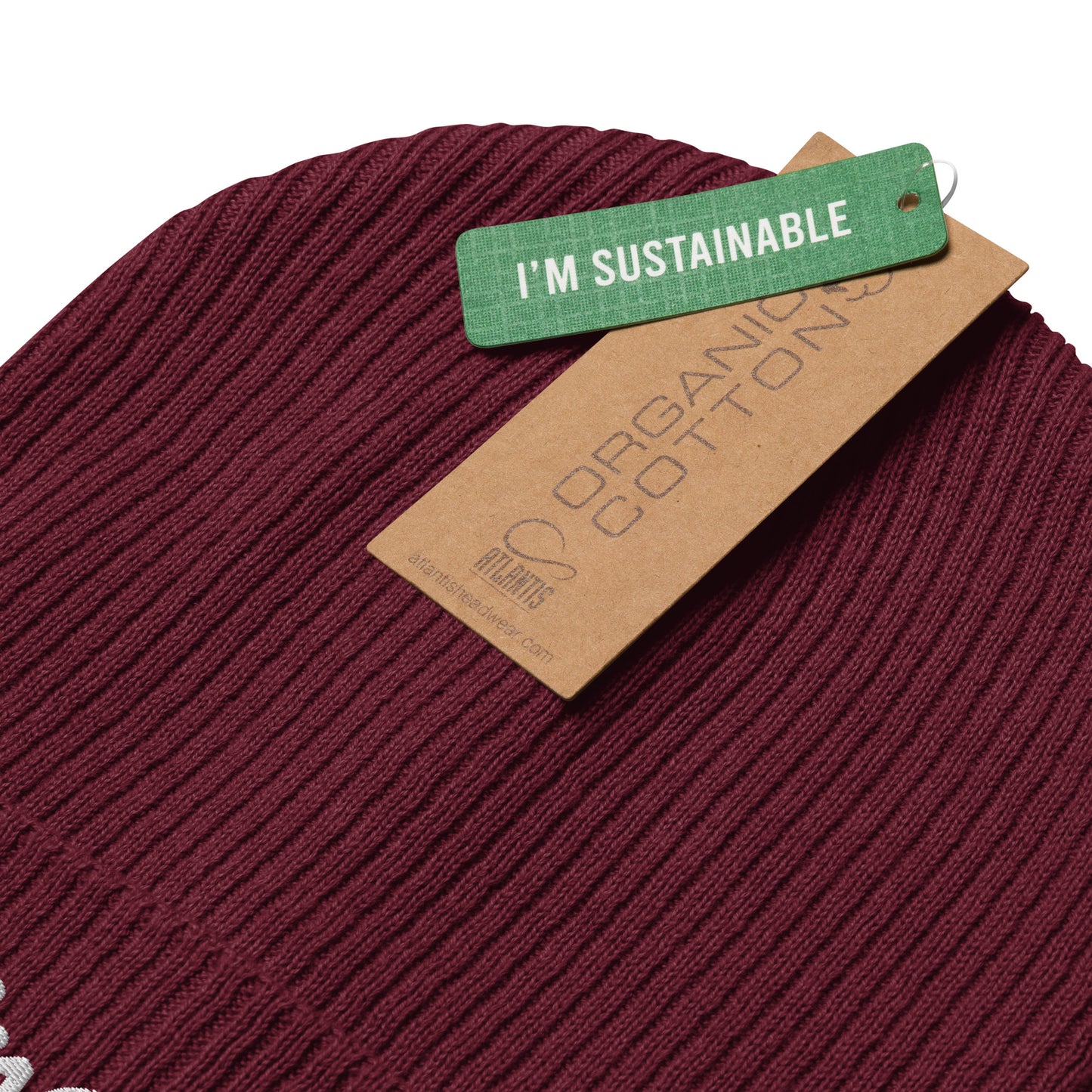 Delinquent Organic Ribbed Beanie 7 Colors Available